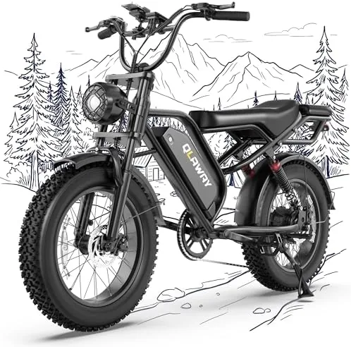 qlaway electric bike category